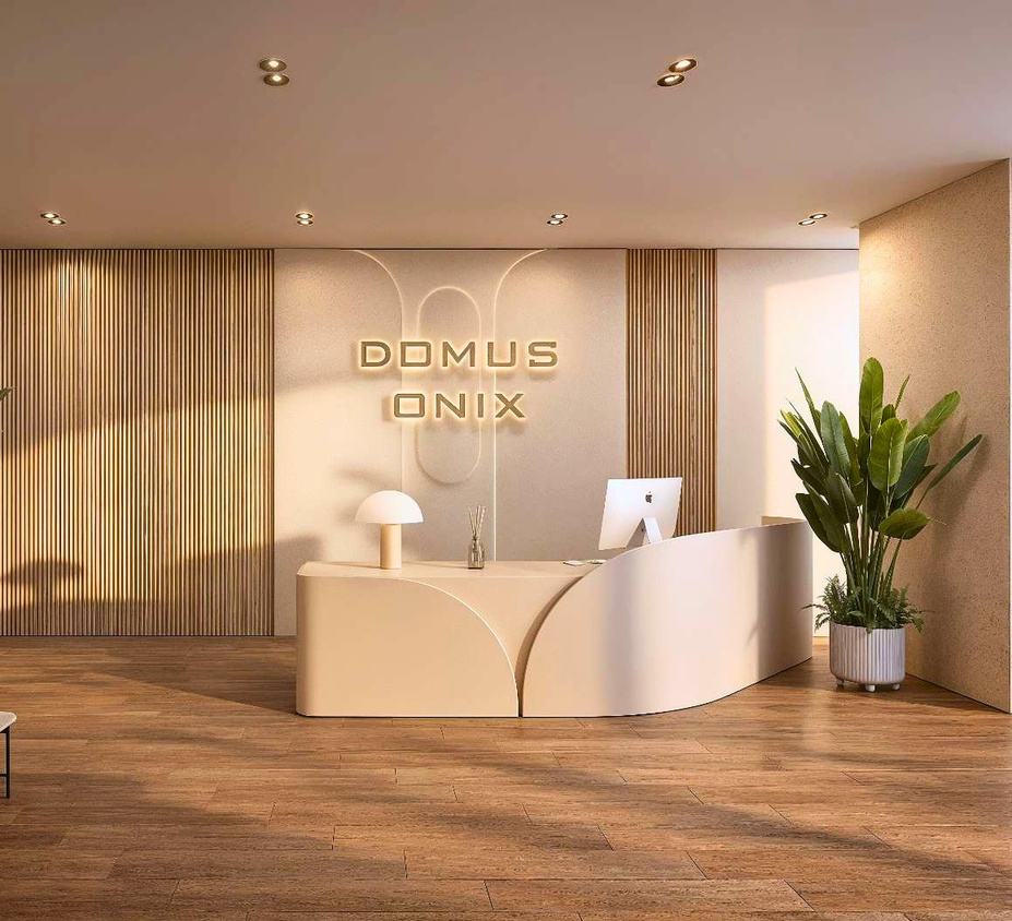 Domus Onix — imagen del brochure de la desarrolladora